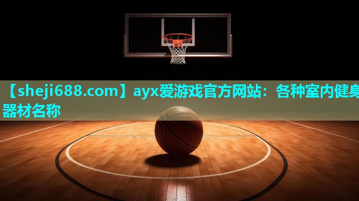 ayx爱游戏官方网站：各种室内健身器材名称