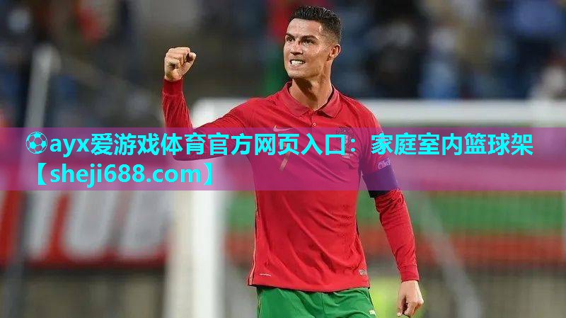 ⚽ayx爱游戏体育官方网页入口：家庭室内篮球架