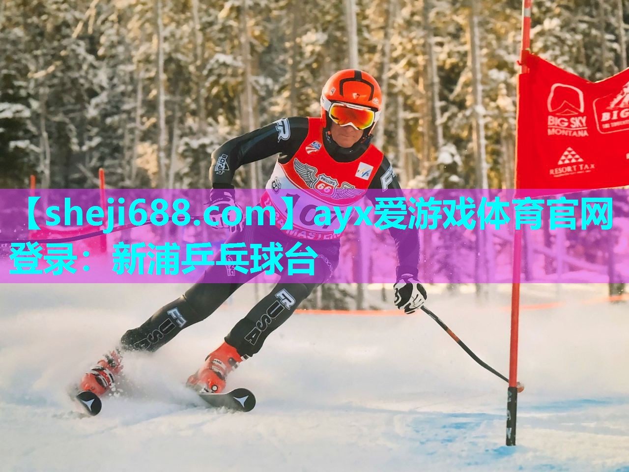 新浦乒乓球台