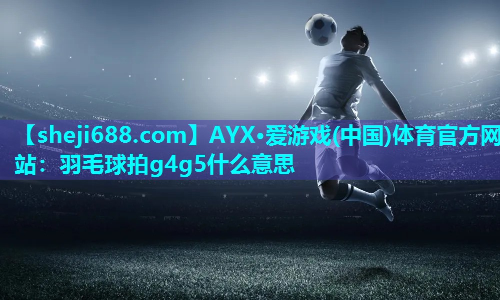 羽毛球拍g4g5什么意思