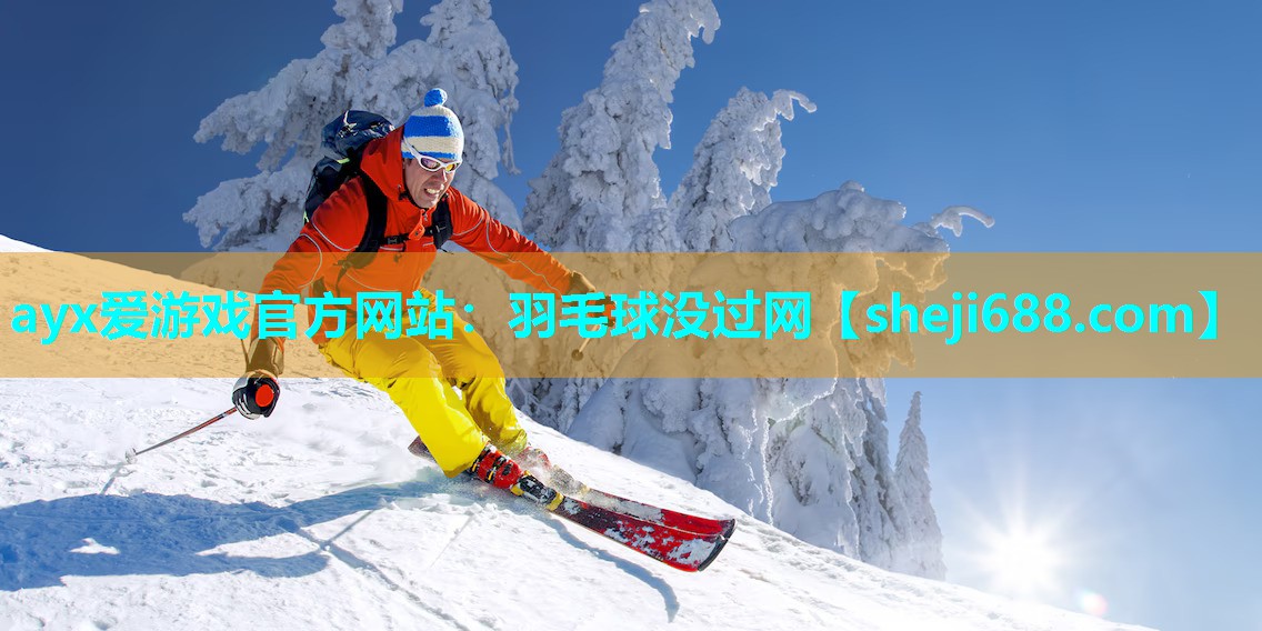 羽毛球没过网